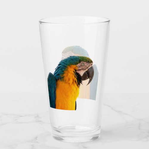 Parrot   glass