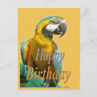 Parrot Happy Birthday Customizable Postcard