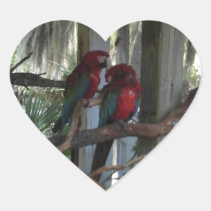 Parrot Heart Sticker