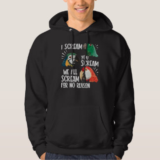 Parrot  I Scream You Scream We All Scream For No R Hoodie