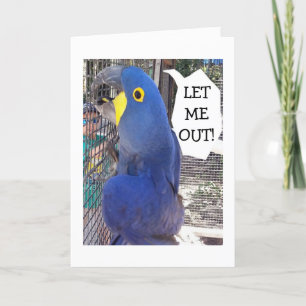 PARROT IN CAGE SAYS LET ME OUT-BIRTHDAY CARD