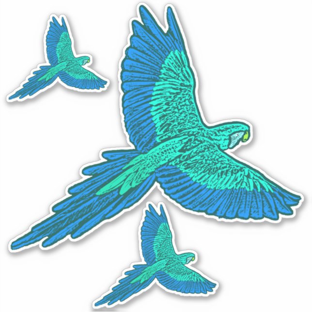 Parrot in Flight, Aqua and Cobalt Blue Sticker (Front)