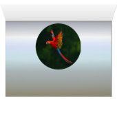 Parrot in Flight Cards (Inside Horizontal (Bottom))