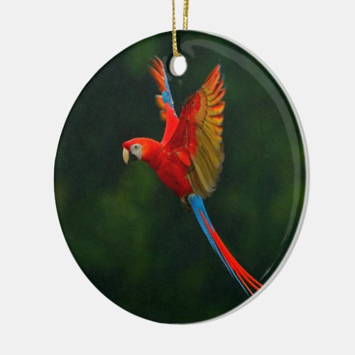 Parrot in Flight Ceramic Ornament