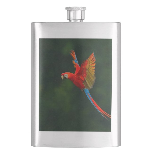 Parrot in Flight Flask (Front)