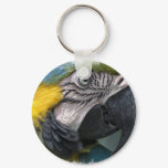 Parrot Keychain