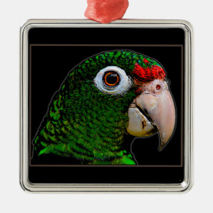Parrot / La Cotorra Metal Ornament