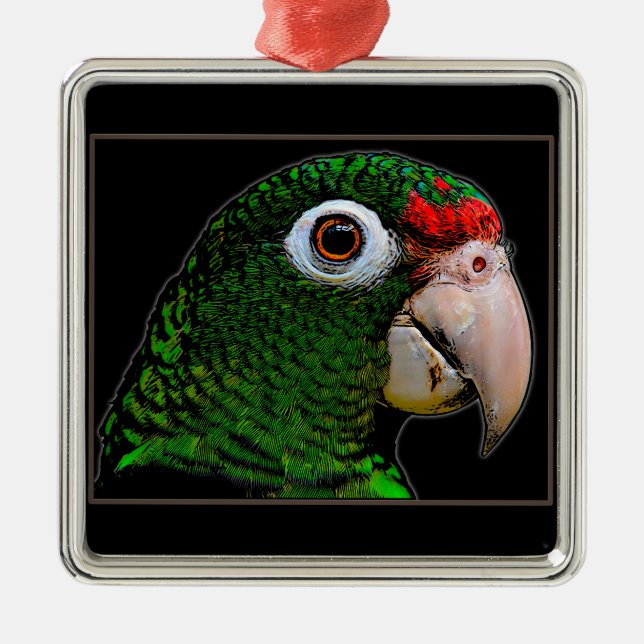 Parrot / La Cotorra Metal Ornament (Front)