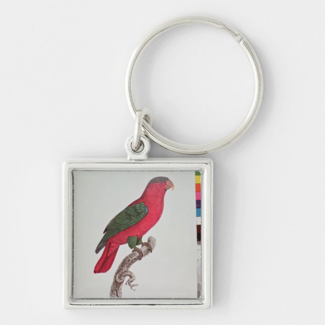 Parrot: Lory or Collared Keychain (Front)