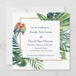 Parrot Lovebird Tropical Nature Save the Date