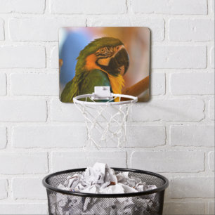 Parrot Lover Mini Basketball Hoop