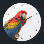Parrot, macaw bird beautiful photo large clock<br><div class="desc">Beautiful photo of a colorful parrot,  macaw bird portrait wall clock.  great gift idea for bird lovers</div>