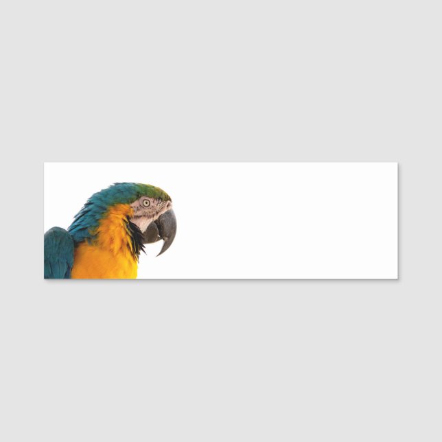 Parrot macaw  name tag (Front)