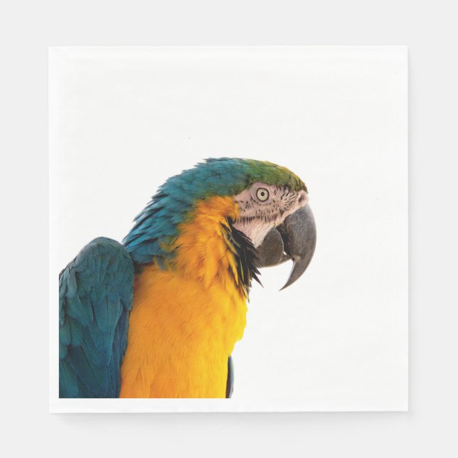 Parrot macaw  napkins (Front)