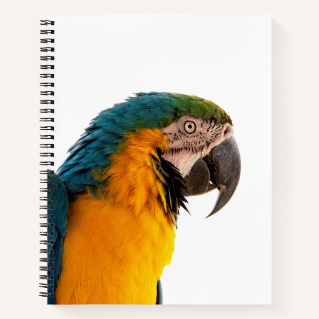 Parrot macaw  notebook (Front)