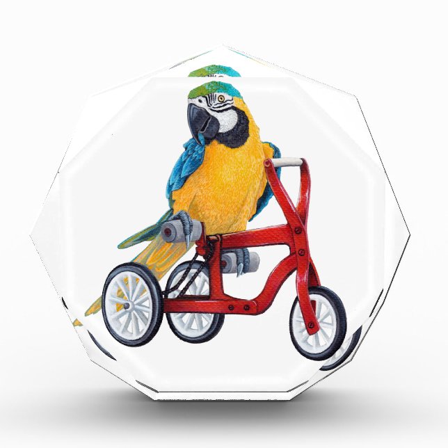 Parrot Macaw on Tricycle bike Acrylic Award (Front)
