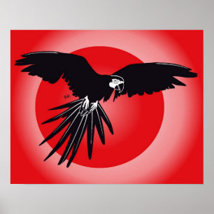 Parrot Macaw Poster