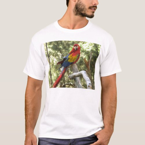 Parrot Macaw Red Bird Colorful Photograph T_Shirt