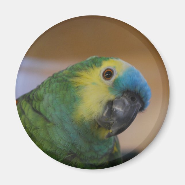 Parrot Magnet (Front)