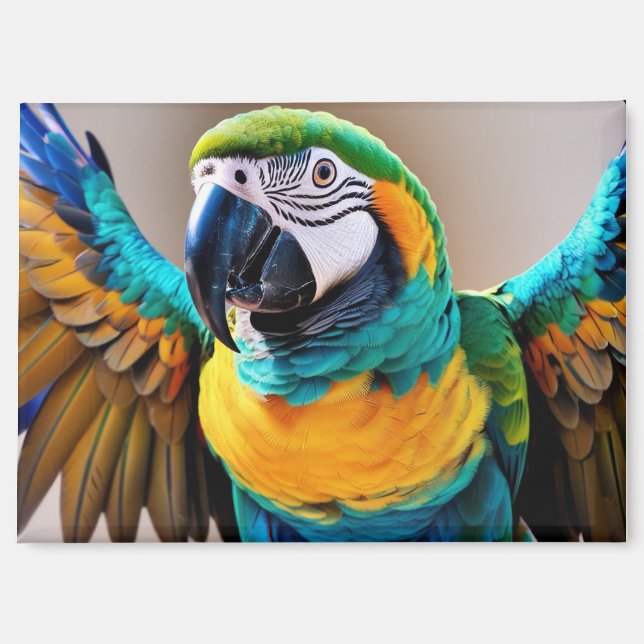 Parrot  magnet (Front)