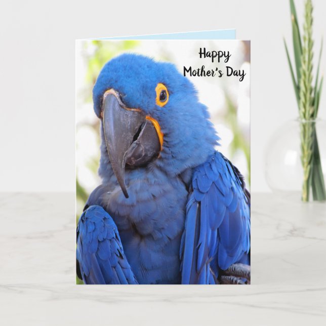 Parrot Mother's Day Folded Greeting Card (Front)