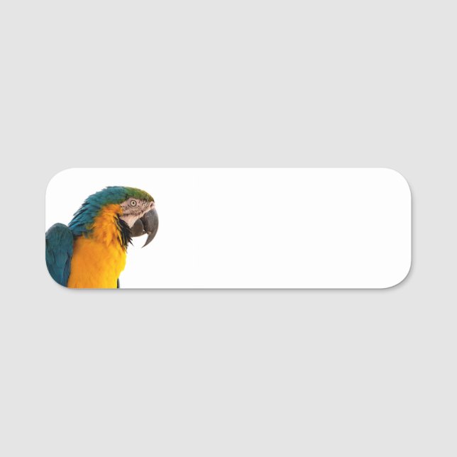 Parrot  name tag (Front)
