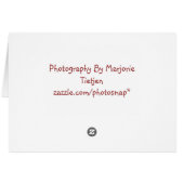 Parrot Note Card (Back Horizontal)