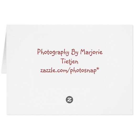 Parrot Note Card (Back Horizontal)