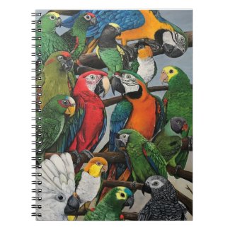 Parrot notebook