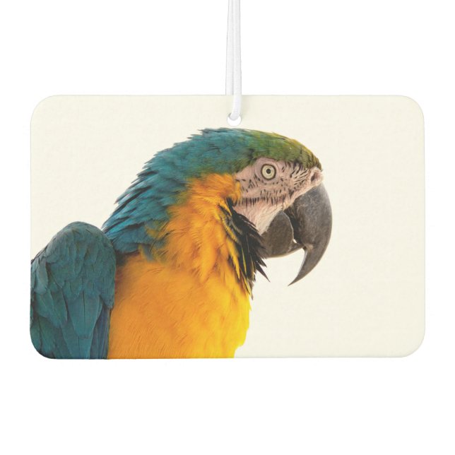 Parrot Notes Air Freshener (Front)