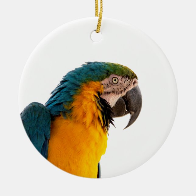 Parrot Notes Ceramic Ornament (Front)