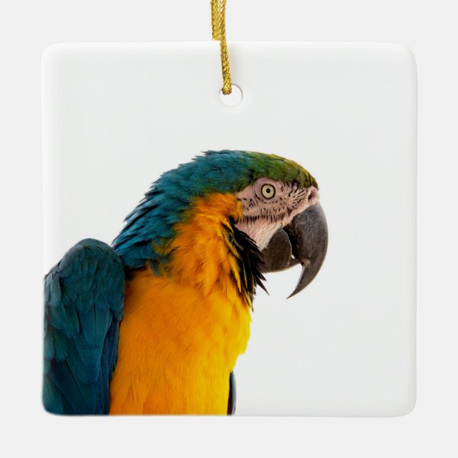 Parrot Notes Ceramic Ornament (Front)