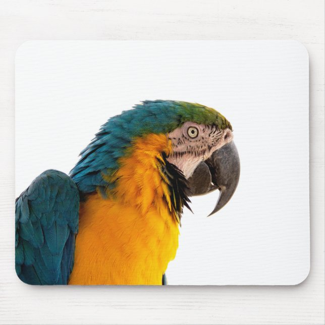 Parrot Notes Mouse Pad (Front)