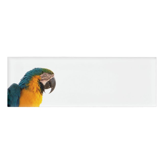 Parrot Notes Name Tag (Front)