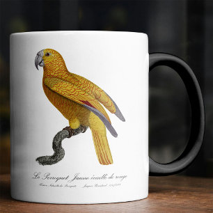 Parrot of Paradise of Cuba, Psittacus Paradisi Color Morph Mug