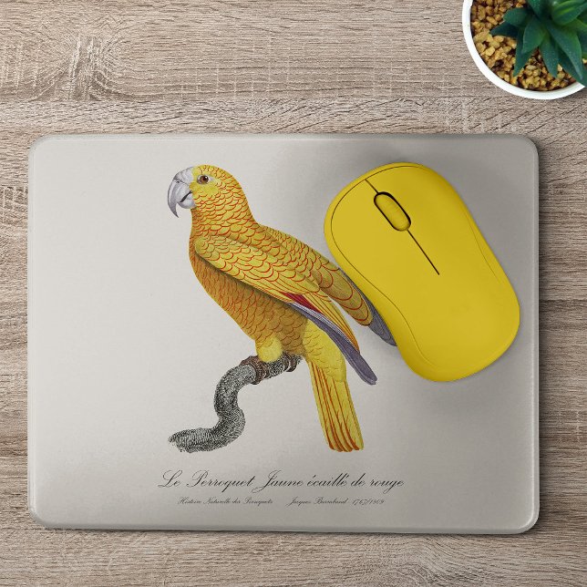 Parrot of Paradise of Cuba, Psittacus Paradisi Mouse Pad (Le Perroquet Jaune ecaille de rouge. Mouse Pad)