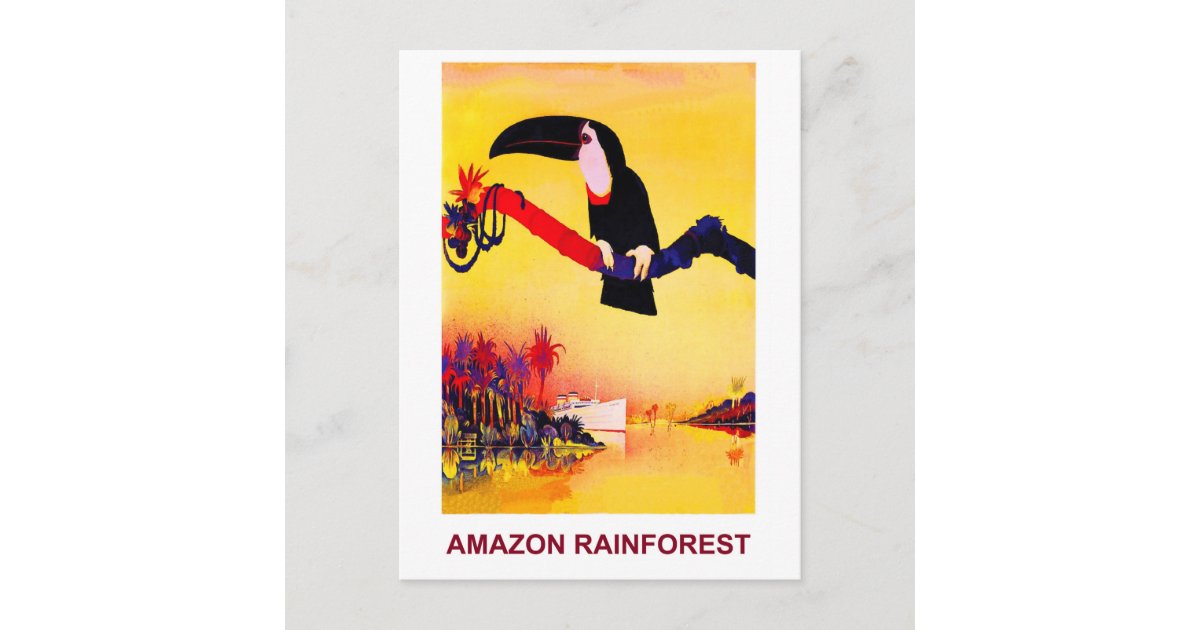 Parrot on Amazon Rainforest Postcard Zazzle