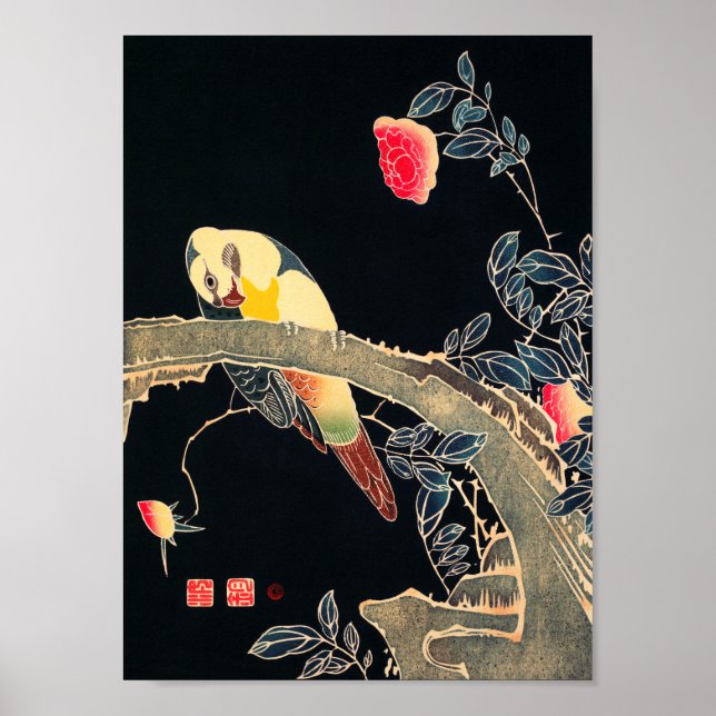 Parrot on the Branch of a Flowering Rose Bush Poster (Front)