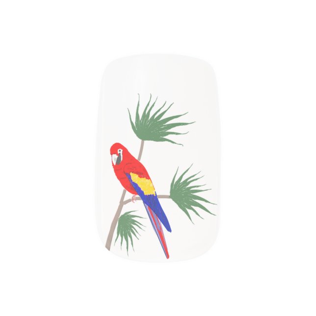 Parrot on tropical plant minx nail wraps (Right Thumb)