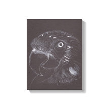 Parrot - Original Drawing - Canvas Print