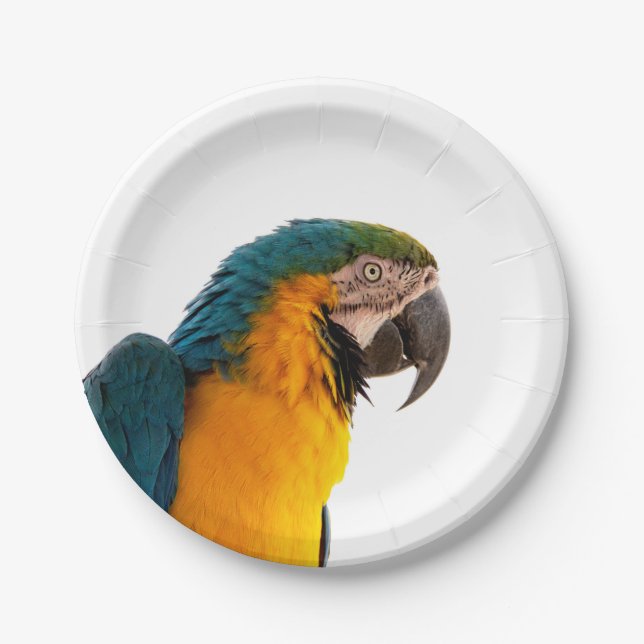 Parrot  paper plates (Front)