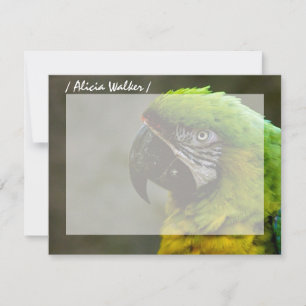 Parrot Photo Personalized Flat Note Cards