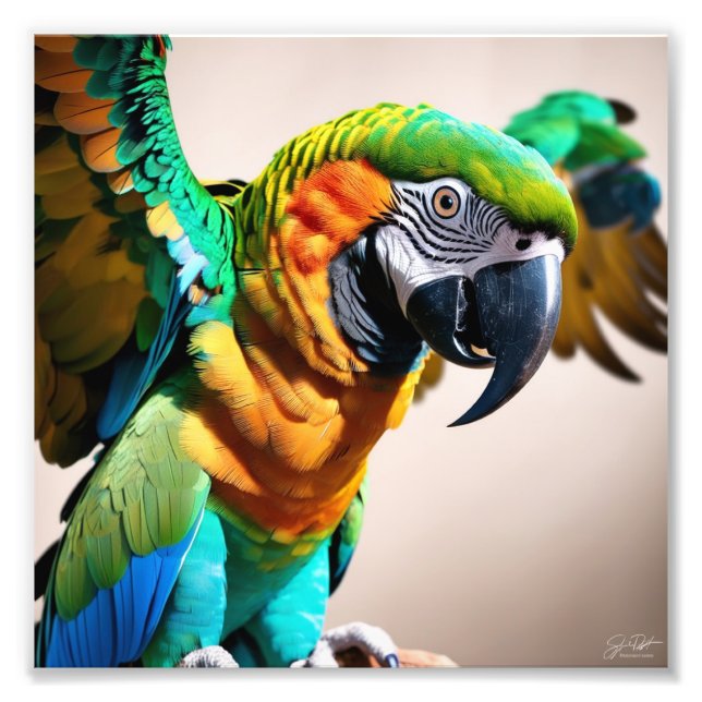 Parrot  photo print (Front)