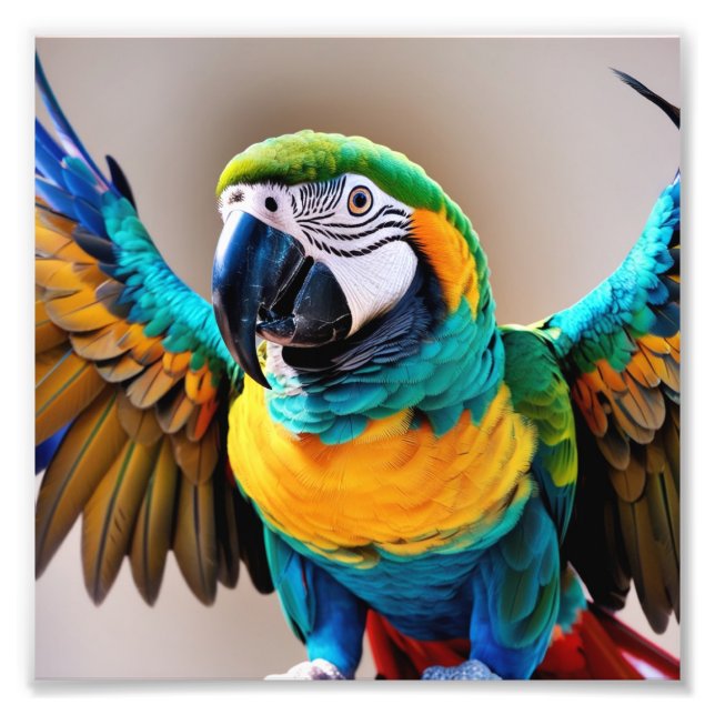 Parrot Photo Print (Front)