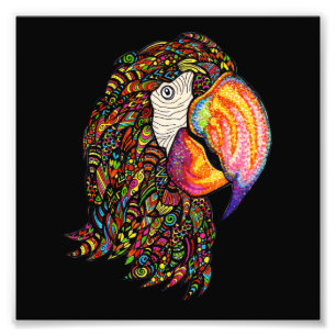 Parrot Photo Print