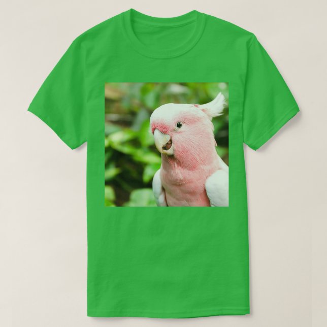 parrot photo with high resolution quality 3 T-Shirt (Design Front)