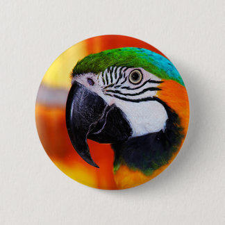 Parrot Pinback Button