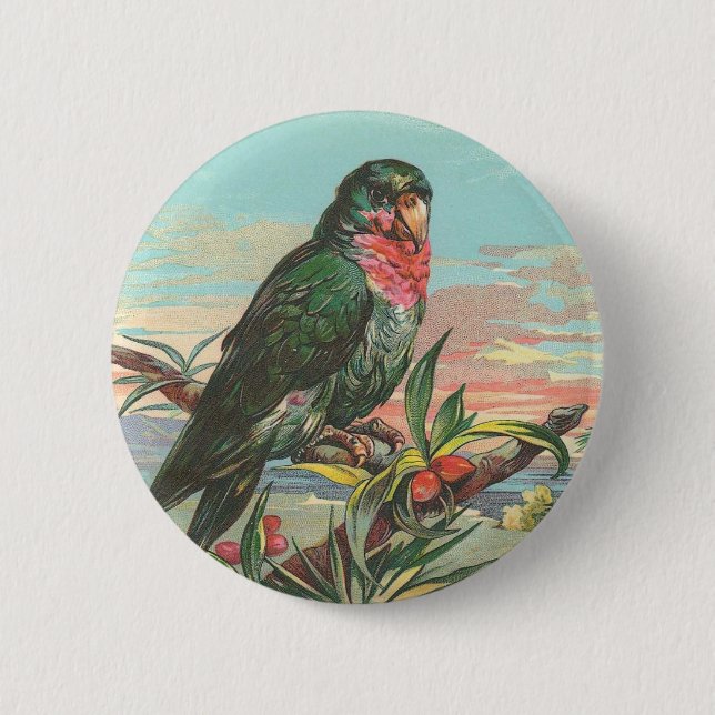 Parrot Pinback Button (Front)