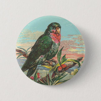 Parrot Pinback Button