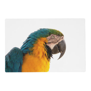 Parrot  placemat